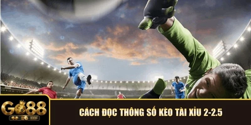  Cách đọc thông số kèo tài xỉu 2-2.5