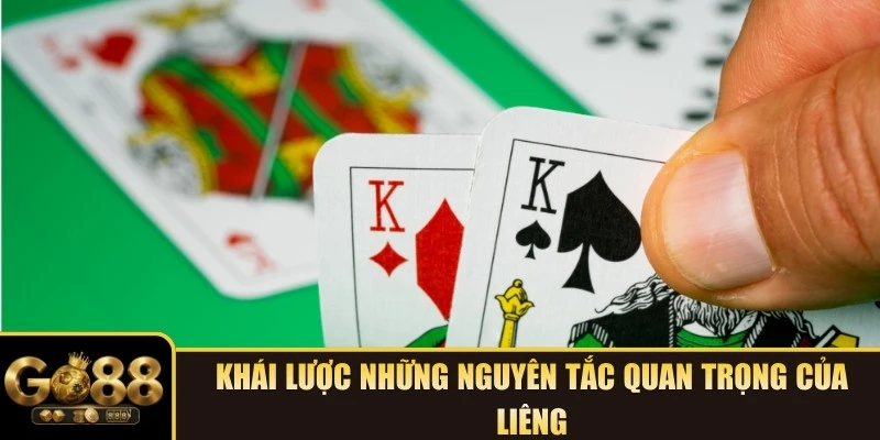 Khái lược những nguyên tắc quan trọng của Liêng