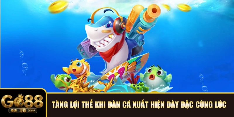 Tăng lợi thế khi đàn cá xuất hiện dày đặc cùng lúc